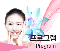프로그램